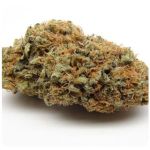 Шишки AK47  (Гидропоника, Бошка) VHQ в Кашире